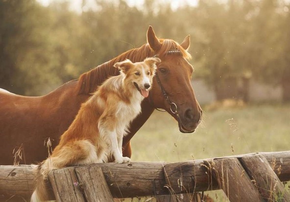 تصاویر دیدنی