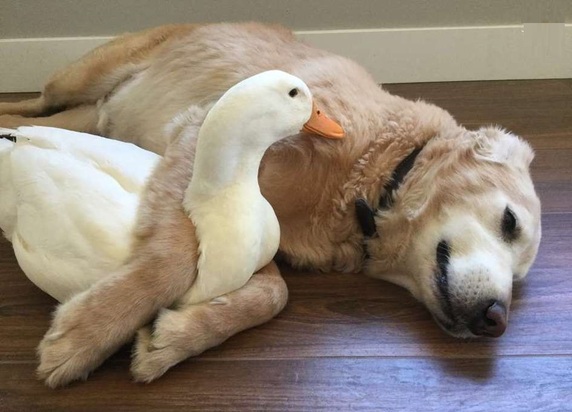 تصاویر دیدنی