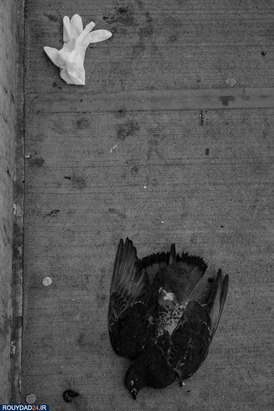 نیویورگ شهر ارواح