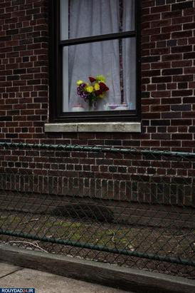 نیویورگ شهر ارواح