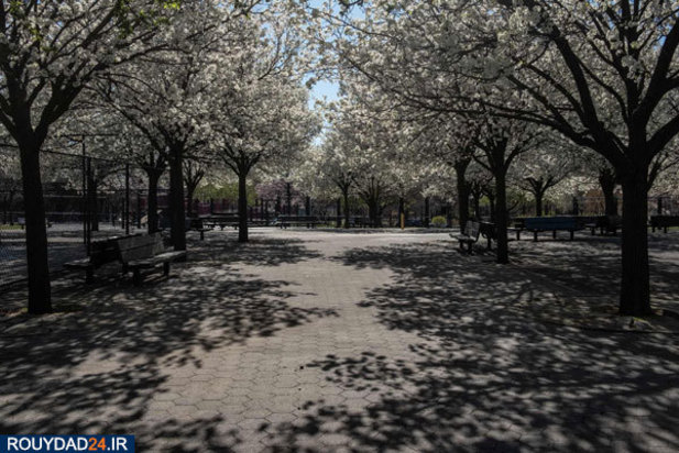 نیویورگ شهر ارواح