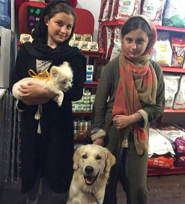 سارا و نیکا