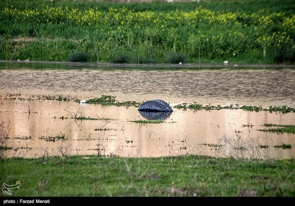آبگرفتگی معابر