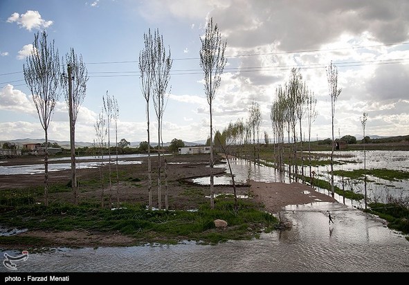 آبگرفتگی معابر