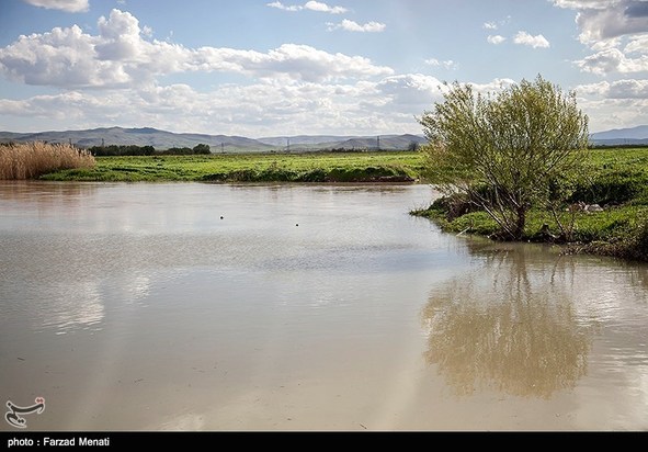 آبگرفتگی معابر
