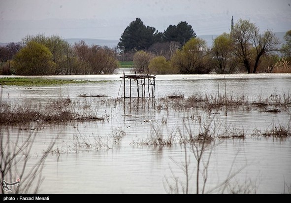 آبگرفتگی معابر
