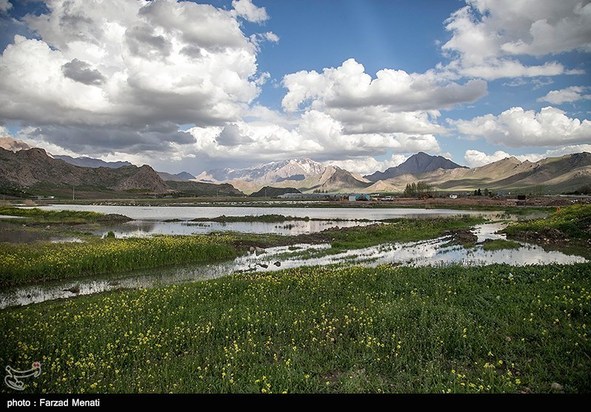 آبگرفتگی معابر