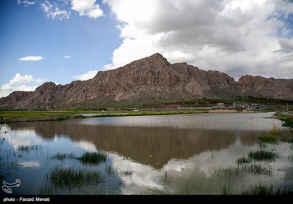 آبگرفتگی معابر