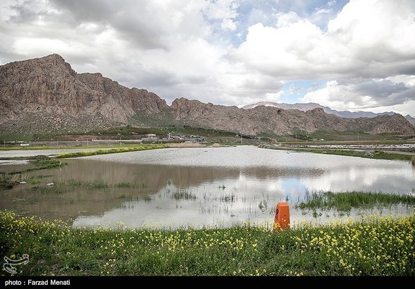 آبگرفتگی معابر