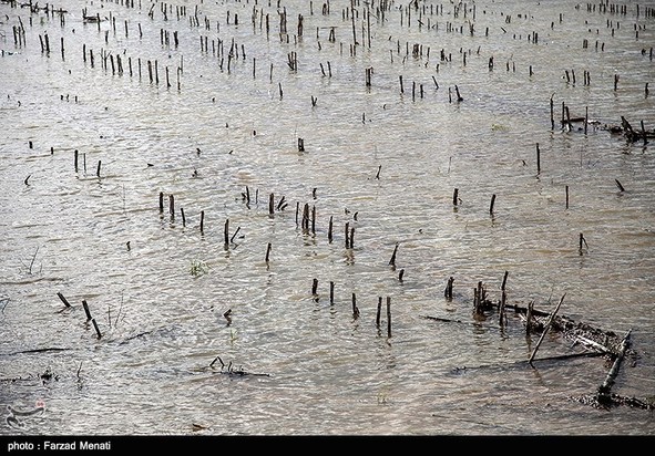 آبگرفتگی معابر