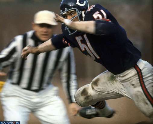 100عکس برتر ورزشی از تمام ادوار