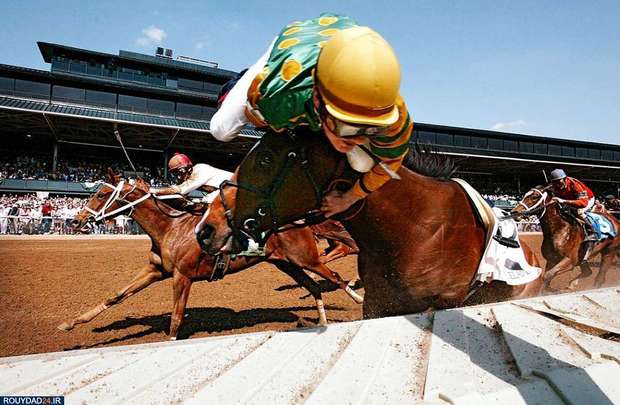 100عکس برتر ورزشی از تمام ادوار