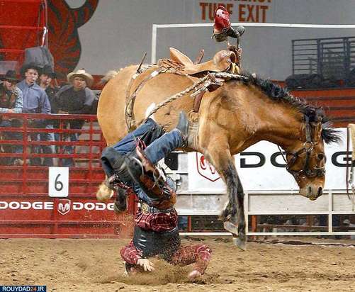 100عکس برتر ورزشی از تمام ادوار