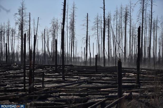 اوکراین در آتش