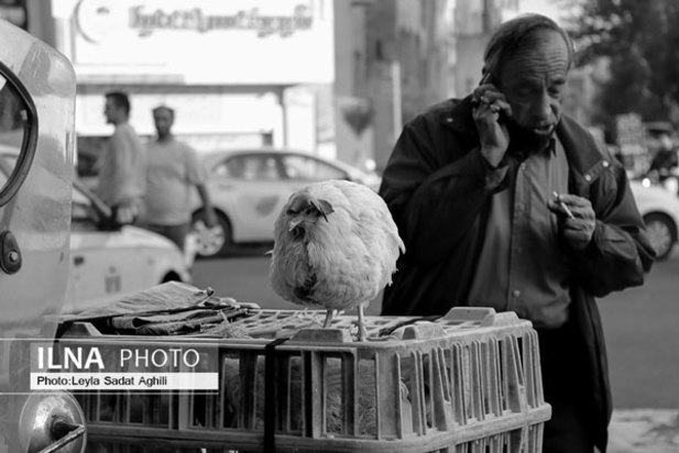 دغدغه نان در روزهای کرونایی