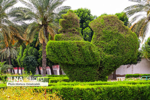 حال و هوای بهاری در بندرعباس