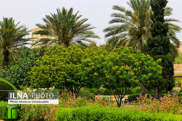 حال و هوای بهاری در بندرعباس