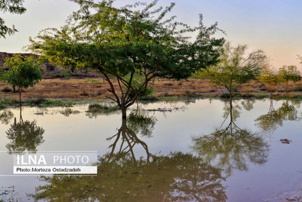 حال و هوای بهاری در بندرعباس