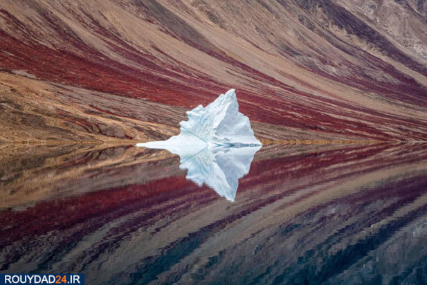 مسابقه عکاسی سونی 2020