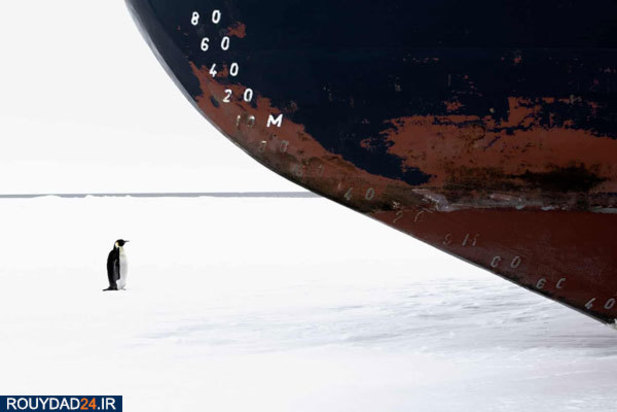 مسابقه عکاسی اقیانوس