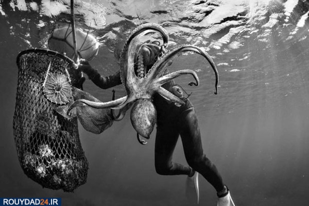 مسابقه عکاسی اقیانوس