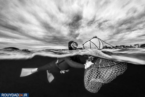 مسابقه عکاسی اقیانوس