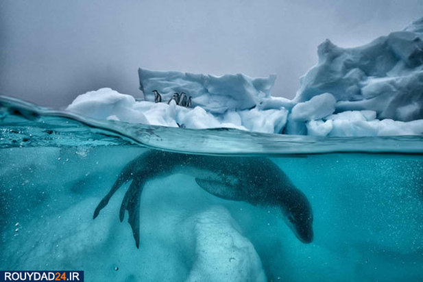 مسابقه عکاسی اقیانوس