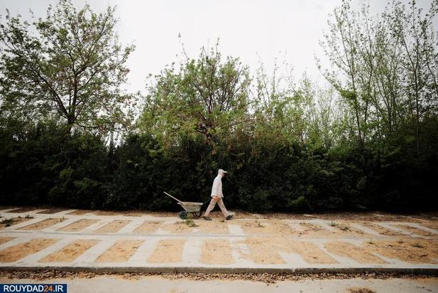 دفن اجساد کرونایی