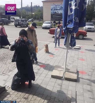 رعایت فاصله‌گذاری اجتماعی در بین حیوانات