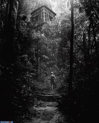 جهان در آینده نزدیک/اگر قرنطینه پایان نیابد