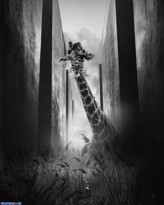 جهان در آینده نزدیک/اگر قرنطینه پایان نیابد