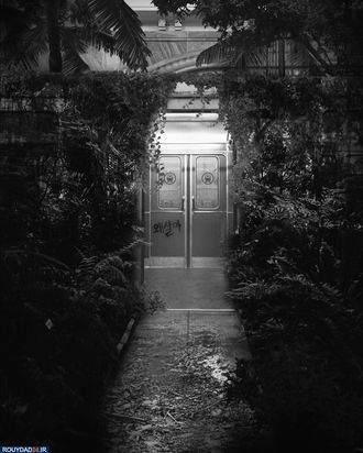 جهان در آینده نزدیک/اگر قرنطینه پایان نیابد