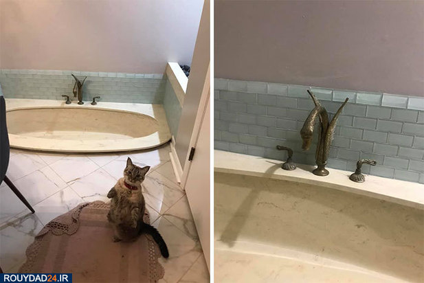 30 حمام جالب