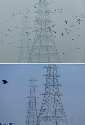 تاثیرات مثبت ویروس کرونا بر جهان