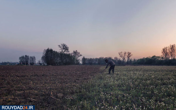 بازسازی تصاویر کرونایی در ژانر وحشت