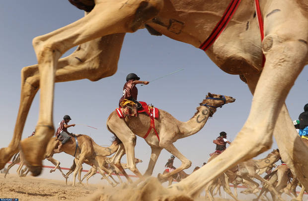 بهترین های ورزش