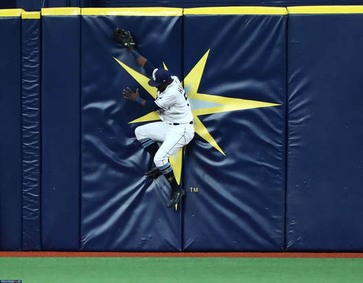 بهترین های ورزش