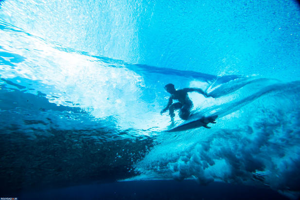 بهترین های ورزش