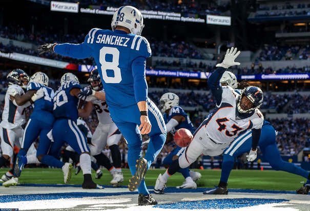 بهترین های ورزش