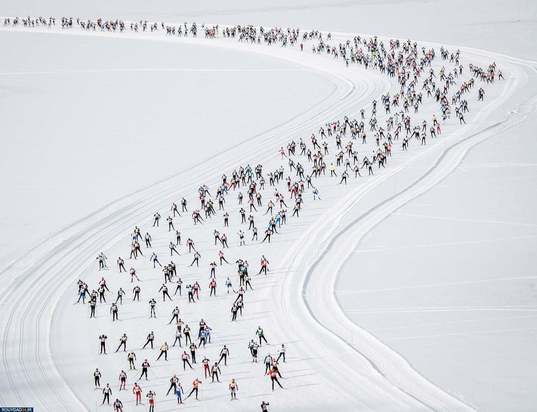 بترین تصاویر ورزشی