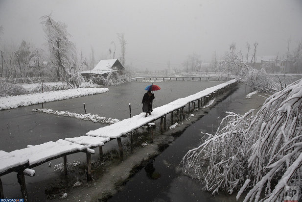 جایزه پولیتزر