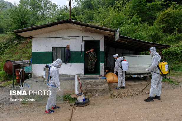 قربانیان کرونا در قاب دوربین