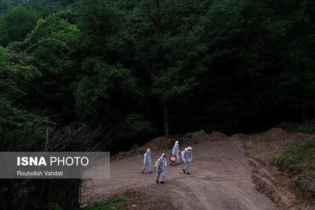 قربانیان کرونا در قاب دوربین