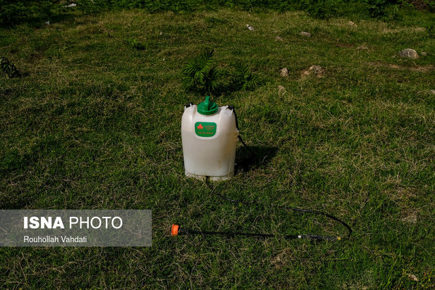 قربانیان کرونا در قاب دوربین