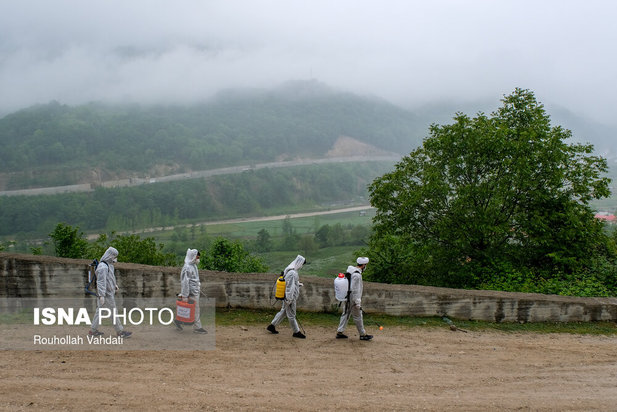 قربانیان کرونا در قاب دوربین