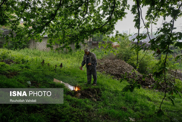 قربانیان کرونا در قاب دوربین