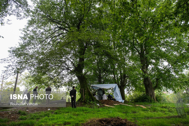 قربانیان کرونا در قاب دوربین