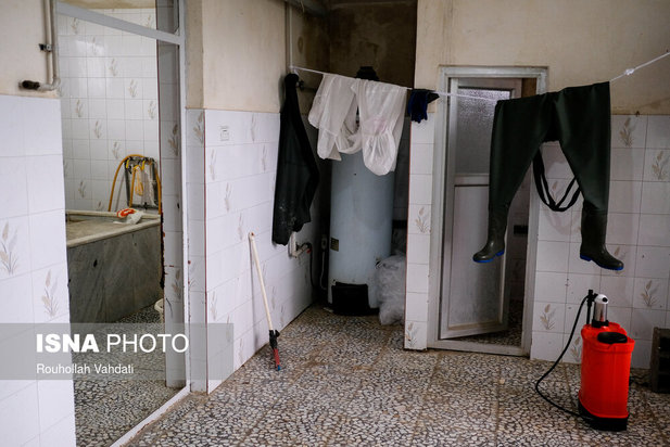 قربانیان کرونا در قاب دوربین