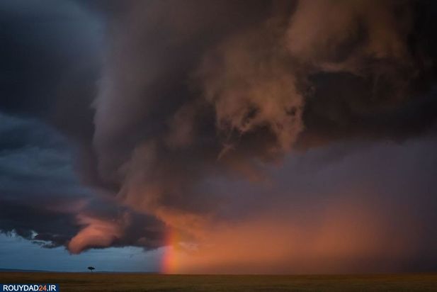 عکاسی از طبیعت