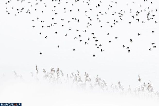 عکاسی از طبیعت